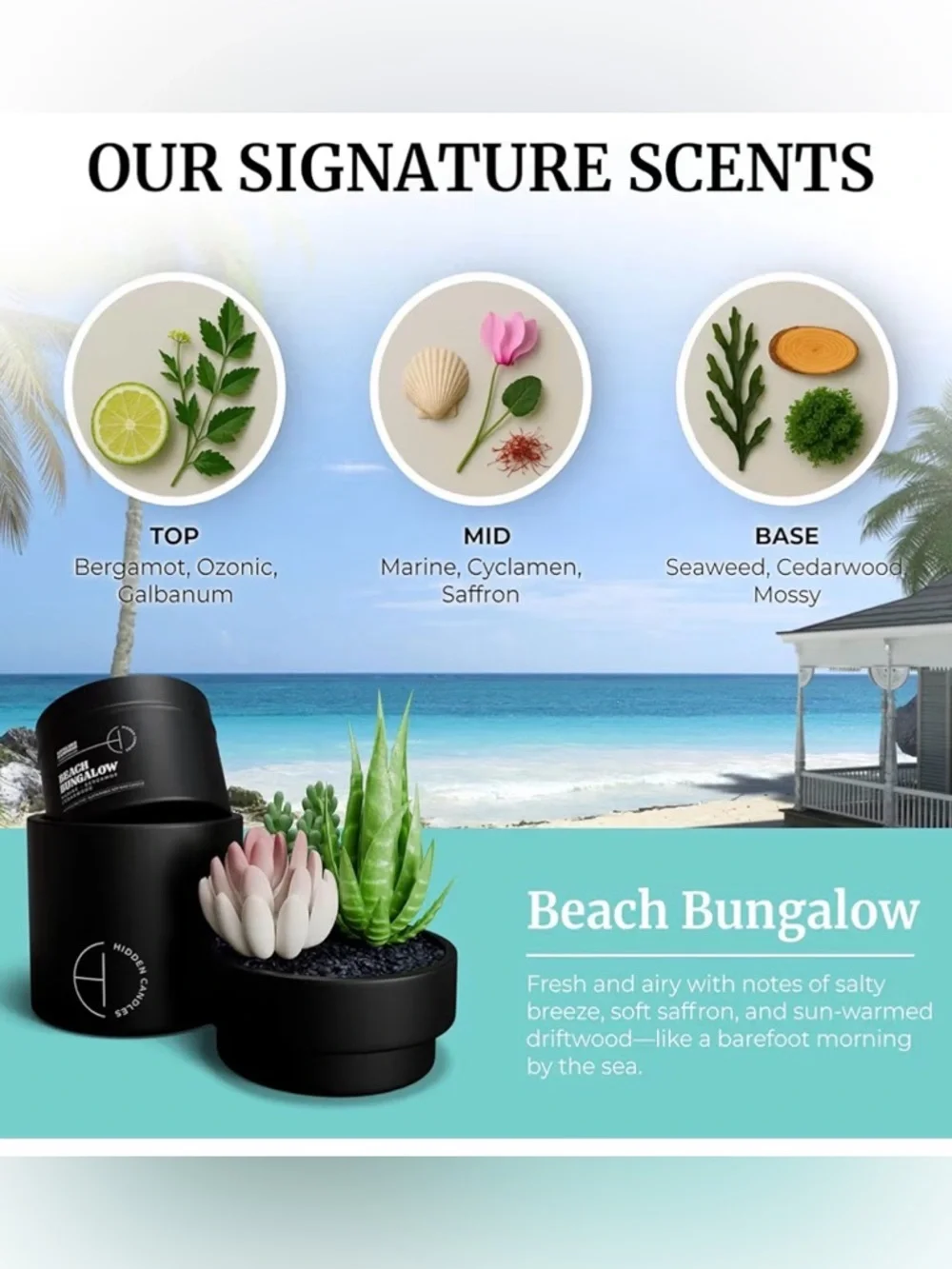 NEW Compact Storage Hidden Candle Beach Bungalow | Scented Candle Faux Succulent